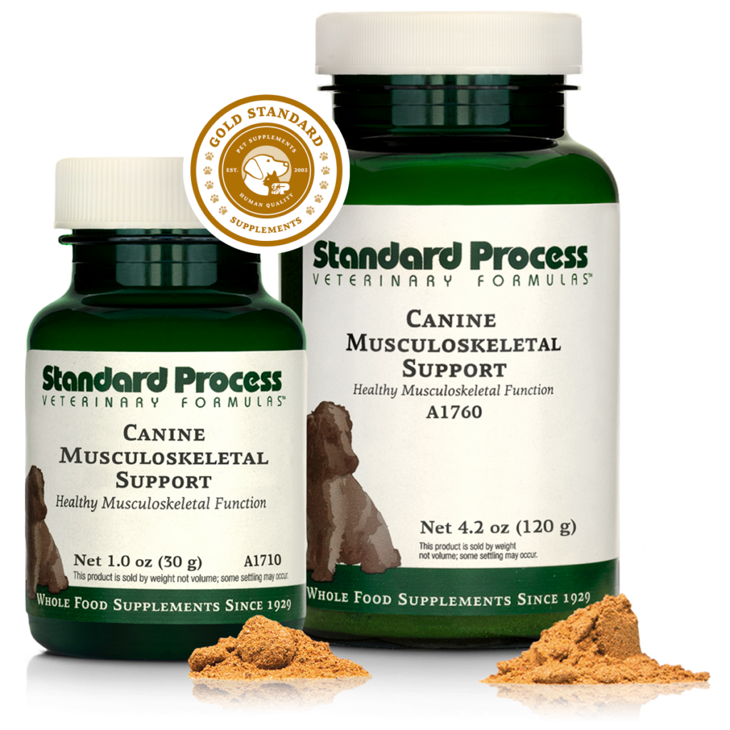 Canine Musculoskeletal Support