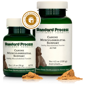 Canine Musculoskeletal Support