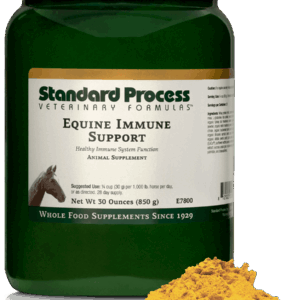 Equine Immune Support