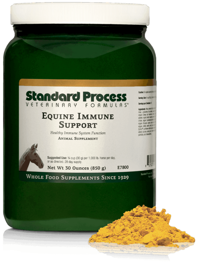 Equine Immune Support