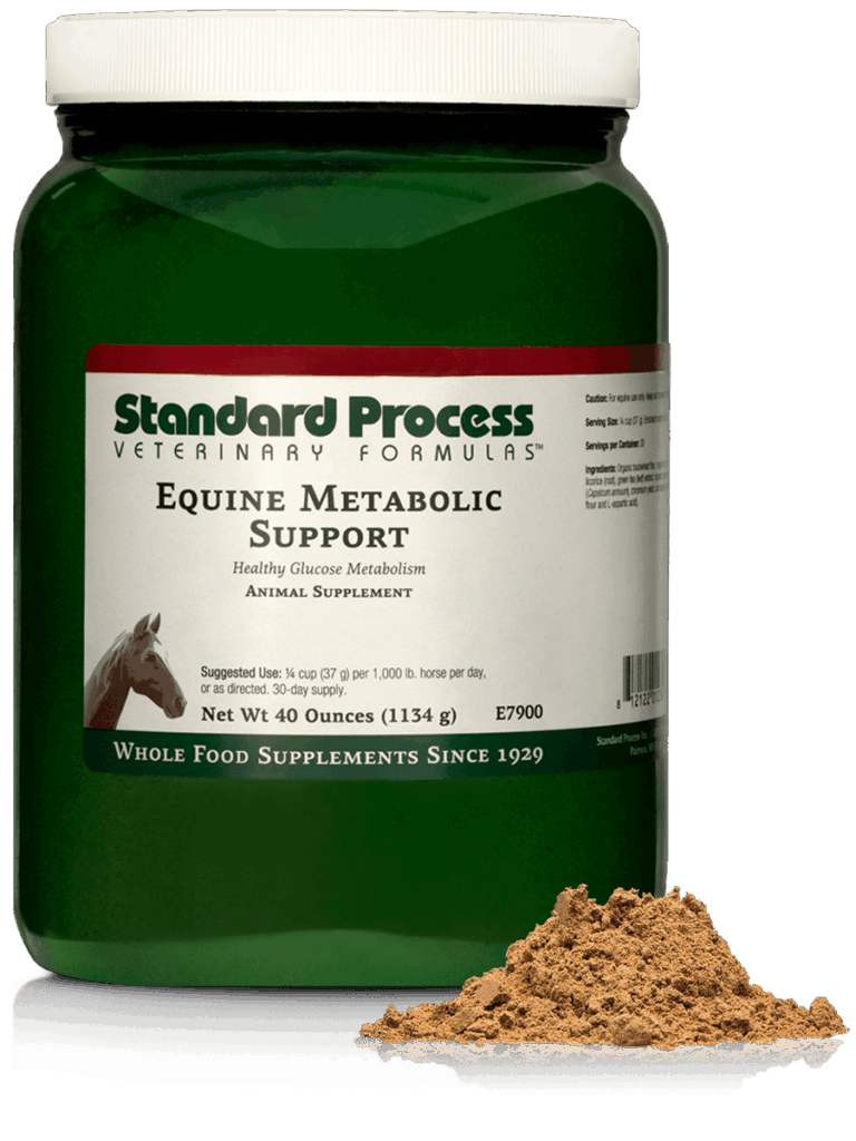 Equine Metabolic Support
