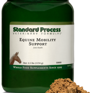 Equine Mobility Support