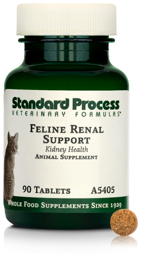 Feline Renal Support