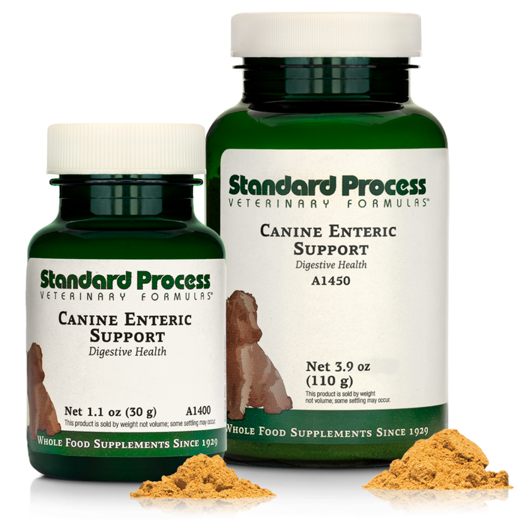 Canine Enteric Support