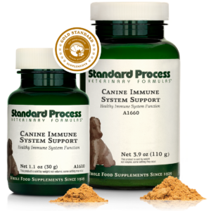 Canine Immune System Support