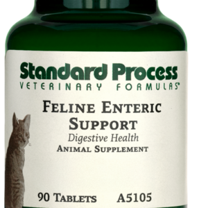 Feline Enteric Support