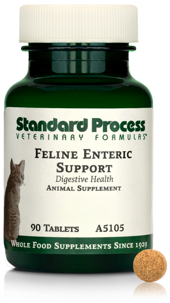Feline Enteric Support