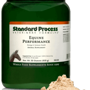 Equine Performance