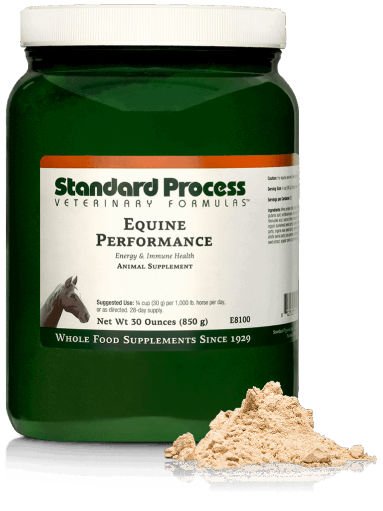 Equine Performance