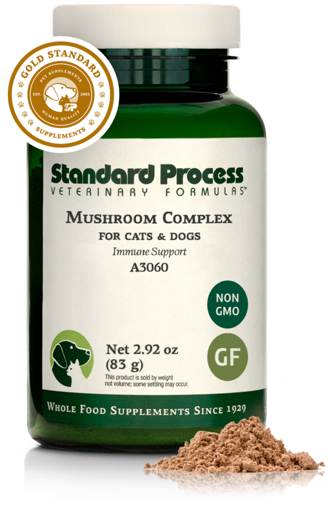 Mushroom Complex